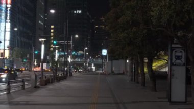 Japonya Tokyo Gece Manzarası 2022