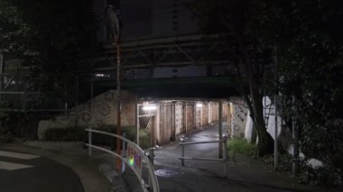 Japonya Tokyo Gece Manzarası 2022