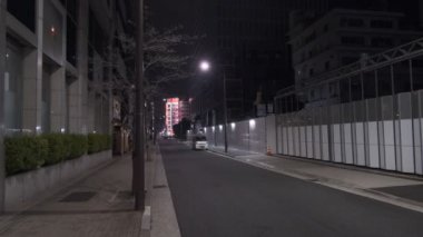 Japonya Tokyo Gece Manzarası 2022