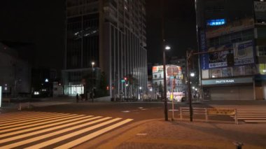 Japonya Tokyo Gece Manzarası 2022