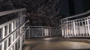 Japonya Tokyo Gece Manzarası 2022