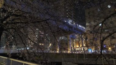 Japonya Tokyo Gece Manzarası 2022