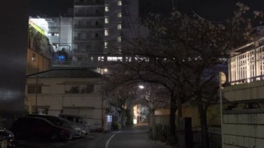 Japonya Tokyo Gece Manzarası 2022