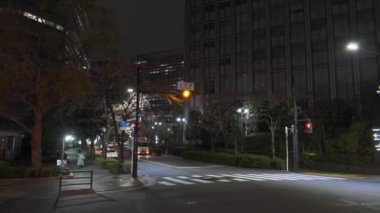 Japonya Tokyo Gece Manzarası 2022