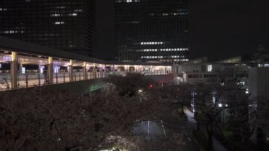 Japonya Tokyo Gece Manzarası 2022