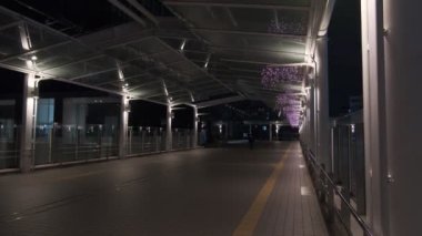 Japonya Tokyo Gece Manzarası 2022