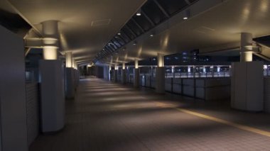 Japonya Tokyo Gece Manzarası 2022