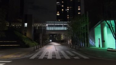 Japonya Tokyo Gece Manzarası 2022