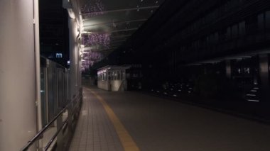 Japonya Tokyo Gece Manzarası 2022