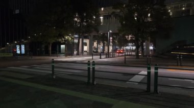 Japonya Tokyo Gece Manzarası 2022