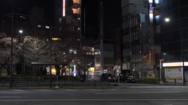 Japonya Tokyo Gece Manzarası 2022