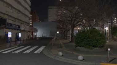 Japonya Tokyo Gece Manzarası 2022