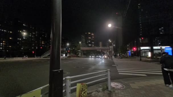 Japonya Tokyo Gece Manzarası 2022 — Stok video