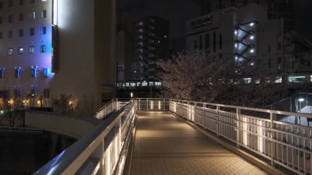 Japán Tokió Éjszakai Nézet 2022 — Stock videók