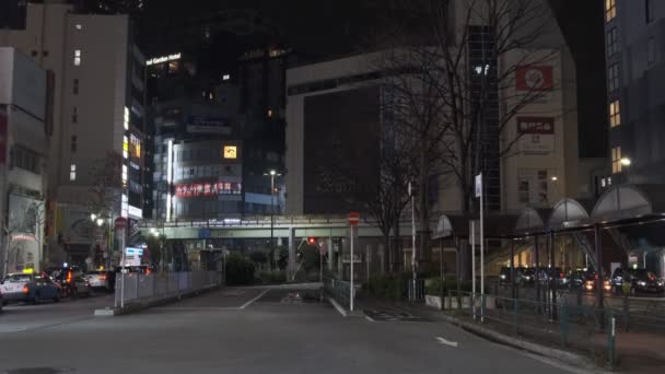 Japan Tokio Nachtsicht 2022 — Stockvideo
