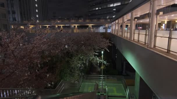 Jepang Tokyo Night View 2022 — Stok Video