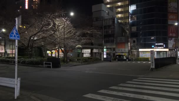 Japan Tokio Avond Uitzicht 2022 — Stockvideo