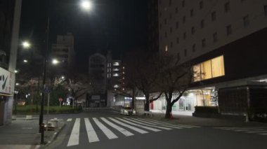 Japonya Tokyo Gece Manzarası 2022