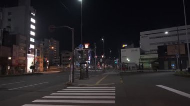 Japonya Tokyo Gece Manzarası 2022