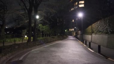 Japonya Tokyo Gece Manzarası 2022