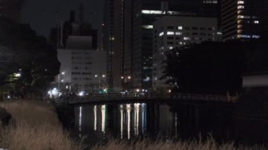 Japonya Tokyo Gece Manzarası 2022
