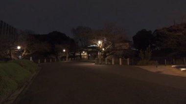 Japonya Tokyo Gece Manzarası 2022