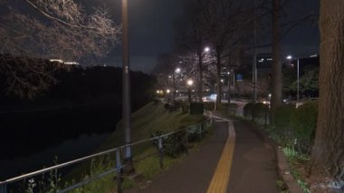 Japonya Tokyo Gece Manzarası 2022