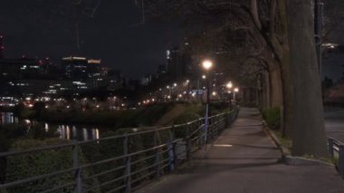 Japonya Tokyo Gece Manzarası 2022