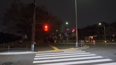 Japonya Tokyo Gece Manzarası 2022