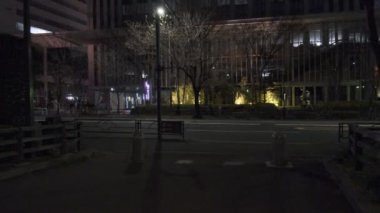Japonya Tokyo Gece Manzarası 2022