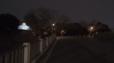 Japonya Tokyo Gece Manzarası 2022