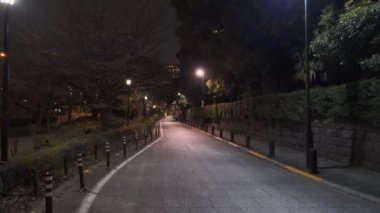 Japonya Tokyo Gece Manzarası 2022