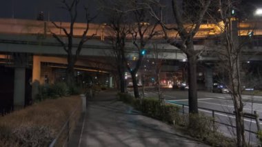 Japonya Tokyo Gece Manzarası 2022