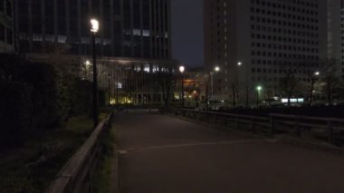 Japonya Tokyo Gece Manzarası 2022