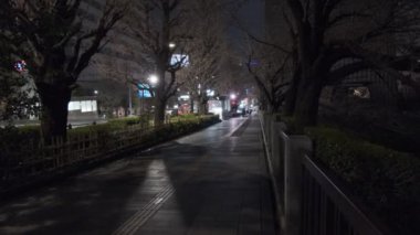 Japonya Tokyo Gece Manzarası 2022