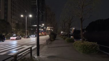 Japonya Tokyo Gece Manzarası 2022