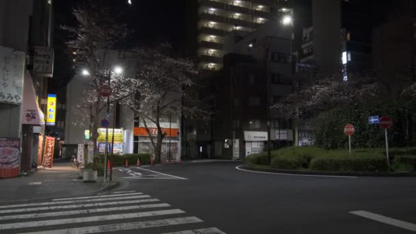 Japan Tokio Nachtsicht 2022 — Stockvideo
