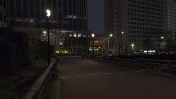 Ιαπωνία Τόκιο Night View 2022 — Αρχείο Βίντεο