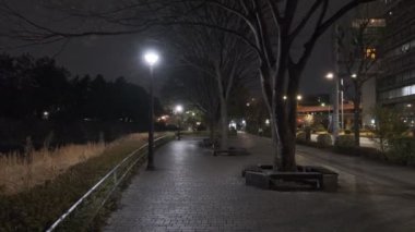 Japonya Tokyo Gece Manzarası 2022