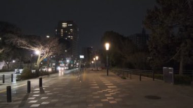 Japonya Tokyo Gece Manzarası 2022