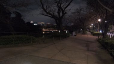 Japonya Tokyo Gece Manzarası 2022