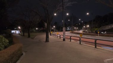 Japonya Tokyo Gece Manzarası 2022