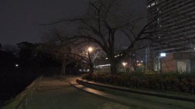 Japonya Tokyo Gece Manzarası 2022