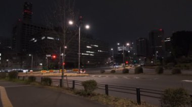 Japonya Tokyo Gece Manzarası 2022
