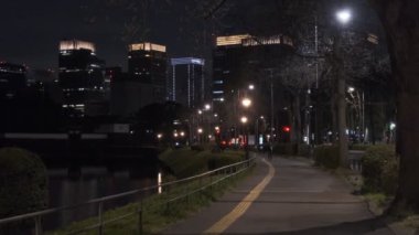 Japonya Tokyo Gece Manzarası 2022