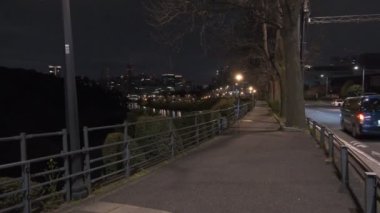 Japonya Tokyo Gece Manzarası 2022
