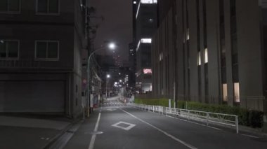 Japonya Tokyo Gece Manzarası 2022