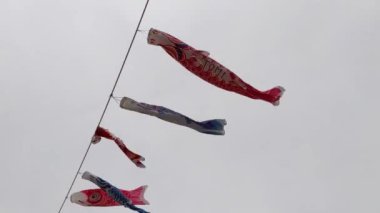 Japon kültür sazan balığı flaması Koinobori 2022