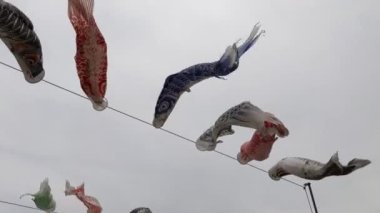Japon kültür sazan balığı flaması Koinobori 2022