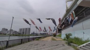 Japon kültür sazan balığı flaması Koinobori 2022